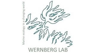 Wernberg Lab